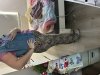 IMG_5073.jpeg