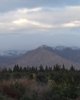 IMG_20250113_080408.jpg
