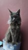 IMG-20250118-WA0013.jpg