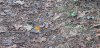 IMG-20250119-WA0029.jpg