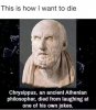 IMG_1036.jpeg