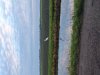 20250126_085618.jpg