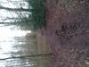 IMG_20250126_161251.jpg