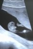 IMG_4684.jpeg