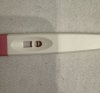 IMG_1680.jpeg