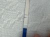 IMG_5977.jpeg