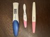 IMG_6380.jpeg