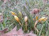 20250214_090041.jpg