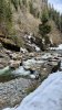 IMG_5322.jpeg