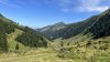 IMG_8904.jpeg