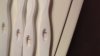 IMG-20250312-WA0001.jpeg