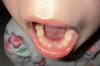 IMG_7182.jpeg