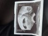 IMG_2965.jpeg