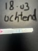 IMG_8964.jpeg