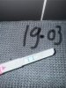 IMG_8974.jpeg