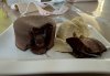 IMG_4033.jpeg