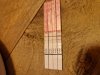 20250408_080441.jpg