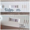 PhotoGrid_Site_1744206521259.jpg