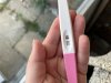 IMG_4015.jpeg