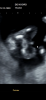 IMG_1893.png