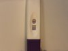 IMG_6311.jpeg