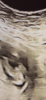 IMG_8074.png
