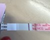IMG_9219.jpeg