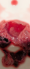 Screenshot_20250425-224446.png