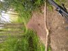 IMG_20250426_144231.jpg