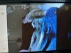 IMG_2535.jpeg