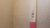 IMG-20250517-WA0029.jpeg