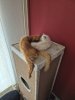 rani en simba1.jpg