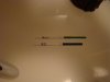 DSC03539.jpg