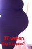 37wkn.jpg