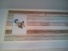 20130908_160321.jpg