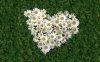 imagesCAND93Q8.jpg