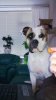 WP_20130324_014.jpg