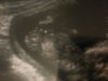 20130911_091845.jpg