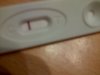 IMG-20130914-01124.jpg