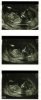 hpqscan0002.jpg