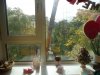 DSC05057.jpg