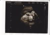 baby swierstra_0012.jpg