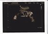 baby swierstra_0013.jpg