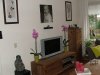 DSCF7168.jpg