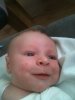 foto78.jpg