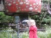 DSC03678.jpg