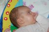 DSC_0670 (640x426).jpg
