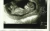 scan2.jpg