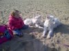 Katwijk-20120315-00245.jpg