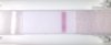test.jpg